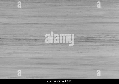 Grey Color Wood Texture Abstract Pattern Lines Stripes Table Texture Floor Background. Stock Photo