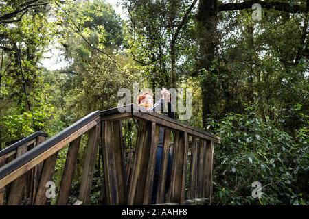 Road trip around the South Island of New Zealand. pictured at  An extremely tall and easy accessible 96-metre waterfall, Thunder Creek Falls is locate Stock Photo