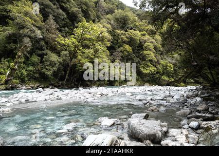 Road trip around the South Island of New Zealand. pictured at  An extremely tall and easy accessible 96-metre waterfall, Thunder Creek Falls is locate Stock Photo