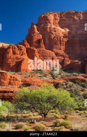 Courthouse Butte from Courthouse Butte Loop Trail, Red Rock Scenic Byway, Coconino National Forest, Arizona Stock Photo