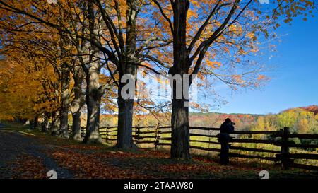 Silhouette of the photographer in taking picture of the autumn leaf colour Stock Photo