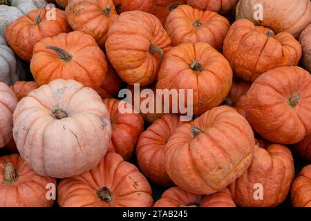 Pile of pumpkins at a roadside market in Benton, Pennsylvania Stock Photo