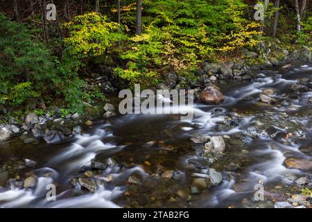 Whetstone Brook in autumn, West Brattleboro, Vermont Stock Photo