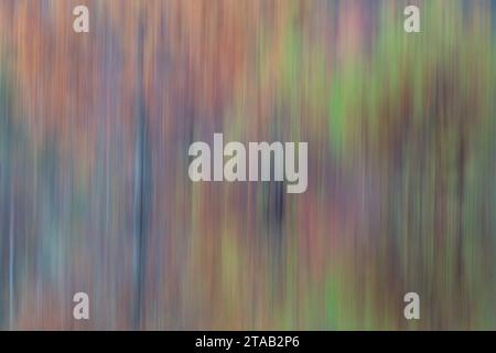Reflection of autumn colors in the pond using intentional camera movement, Trap Pond State Park, Delaware Stock Photo
