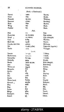 Vocabulary of Meitei language (Manipuri language) published in ''A ...