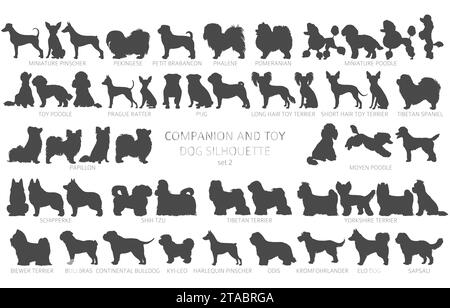 Dog breeds silhouettes, simple style clipart. Companion and toy dogs collection.  Vector illustration Stock Vector