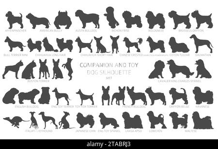 Dog breeds silhouettes, simple style clipart. Companion and toy dogs collection.  Vector illustration Stock Vector