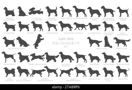 Dog breeds silhouettes, simple style clipart. Hunting dogs, Gun dogs collection.  Vector illustration Stock Vector