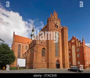 Cathedral Basilica of the Assumption, Gothic, 1323, in Pelplin, Pomorskie, Poland Stock Photo