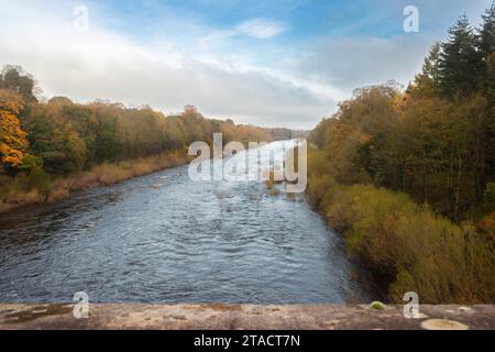 river tyne in northumberland with trees in fall autumn colours Stock Photo