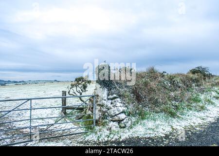 Bodmin Moor, Cornwall, UK. 30th November 2023. UK Weather. With strong winds and temperatures at 0 degrees C snow fell on Roughtor at Bodmin this morning. Credit Simon Maycock / Alamy Live News. Stock Photo