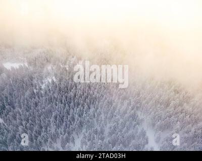 30.11.2023, GER, Luftaufnahmen Thüringer Wald im Winter Im Bild zu sehen ist der Schneekopf bei Gehlberg, einem Ortsteil der thüringischen Stadt Suhl, mit 978 m ü. NHN im Sonnenaufgang mit Wolken/Nebel im Winter Suhl OT Gehlberg Schneekopf Thüringen Deutschland *** 30 11 2023, GER, Aerial view Thuringian Forest in winter The picture shows the Schneekopf near Gehlberg, a district of the Thuringian town of Suhl, at 978 m above sea level at sunrise with clouds fog in winter Suhl OT Gehlberg Schneekopf Thuringia Germany Credit: Imago/Alamy Live News Stock Photo