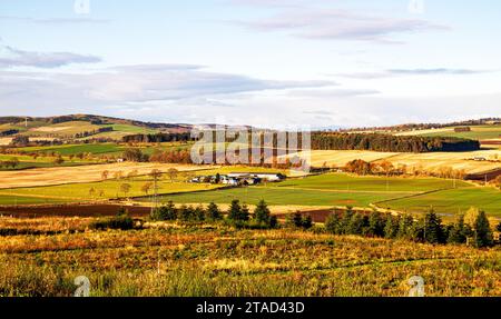 Dundee, Tayside, Scotland, UK. 30th Nov, 2023. UK Weather: In rural Dundee, beautiful winter sunshine with mild weather creating spectacular landscape views across the Sidlaw Hills and Strathmore Valley. Credit: Dundee Photographics/Alamy Live News Stock Photo