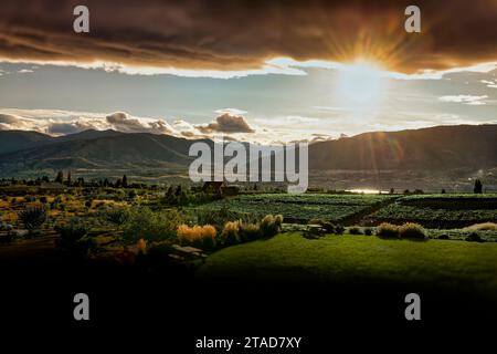 A picturesque sunset over vineyards in the Naramata Bench area of Penticton B.C. Canada Stock Photo