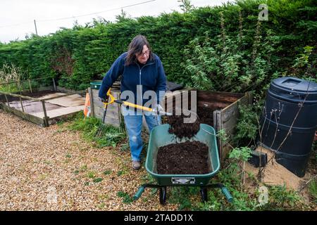 Woman shovelling compost from compost bin into wheelbarrow ready for use on her garden Stock Photo