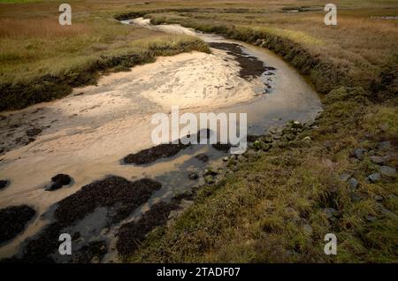 Tidal creek in the Wadden Sea, Munkmarsch, dune landscape, North Sea island of Sylt, North Frisia, Schleswig-Holstein, Germany Stock Photo