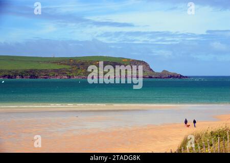 Two Men Walking a Dog on Daymar Beach with Stepper Point in the Background from the Sand Dunes on the South West Coastal Path near Padstow, Cornwall. Stock Photo
