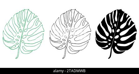 Monstera line and silhouette set of tropical leaves, greenery design element Monstera leaf, jungle plant. Leaf for coloring book, logo or scrapbook. V Stock Vector