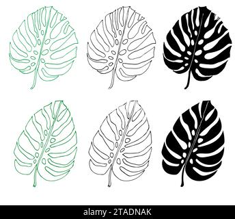 Monstera line and silhouette set of tropical leaves, greenery design element Monstera leaf, jungle plant. Leaf for coloring book, logo or scrapbook. V Stock Vector
