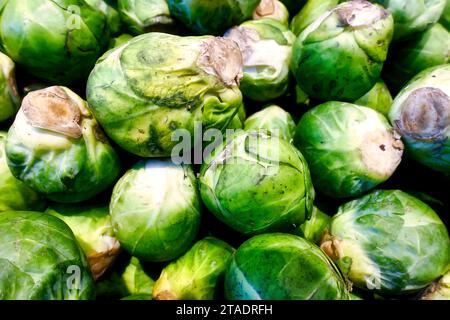 some examples of colorful Brussels sprouts vegetables in a box, close up image Stock Photo