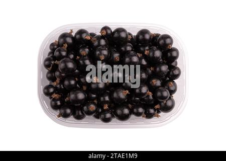black currant berries in plastic box isolated on white background, fresh berries in plastic container Stock Photo