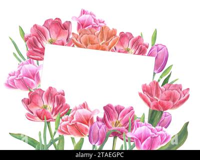 Bouquet of pink tulips. Flowers with green leaves, stems. Valentines day or birthday greeting card. Spring composition with space for text. Watercolor Stock Photo