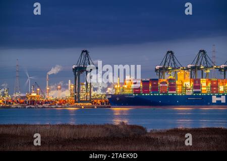 Gantry cranes and stacked containers on container ship docked at container terminal in the port of Antwerp seaport / harbour, Flanders, Belgium Stock Photo