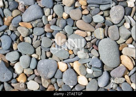 Background made of colored pebbles. Fragment of a stony sunny beach. Stock Photo