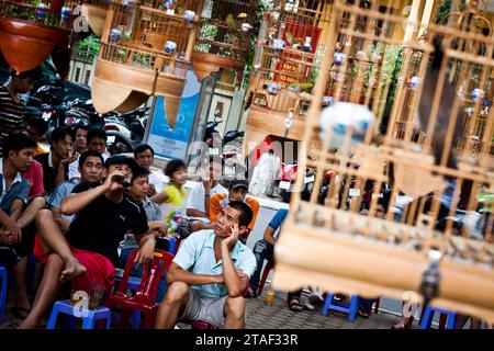 Men watch their caged birds at a cafe in Hanoi, Vietnam Stock Photo