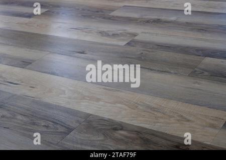 Wood grain floor planks of varied brown and gray color, viewed at an angle. Stock Photo