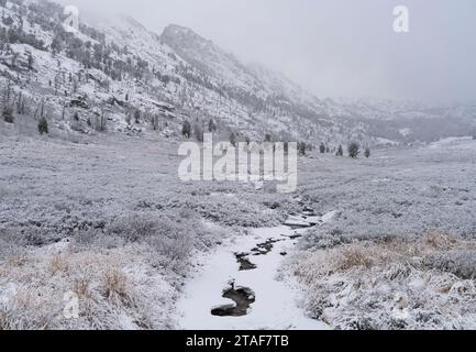 Lamoille Creek on a snowy day in the Ruby Mountains of Nevada. Stock Photo