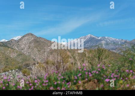 View of snow on the San Gorgonio Mountain from the Mission Creek Preserve in Desert Hot Springs, California Stock Photo