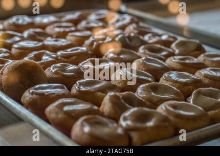 A baking pan filled with freshly-baked donuts, each covered in a sweet glaze Stock Photo