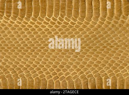 Snakeskin Leather Texture Stock Photo