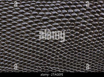 Black Alligator Leather Texture Stock Photo