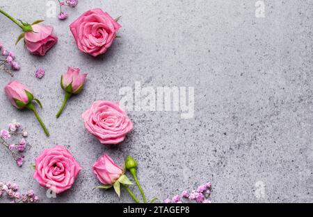 Colored gypsophila flowers and pink roses on concrete background with copy space. Stock Photo
