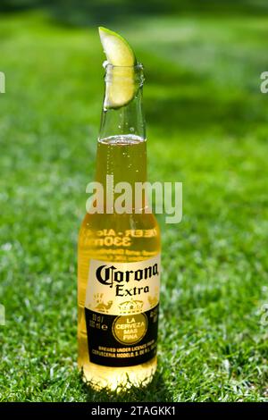 A bottle of Corona extra with a slice of lime sticking out the top in the sun shiny garden Stock Photo