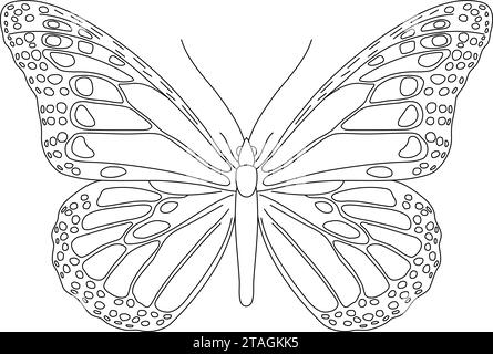 Butterfly with wings, insect, from black contour curves lines on white background. Vector illustration. Stock Vector