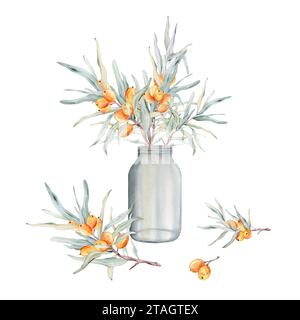 Composition of sea buckthorn branches with berries and a glass vase. Painting art of jar and candle. Watercolor hand drawing illustration on isolate Stock Photo