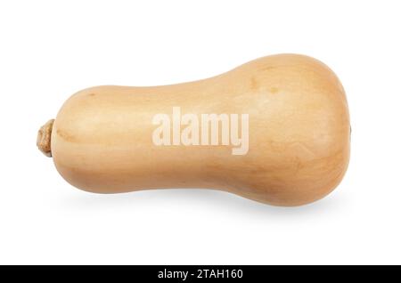 Butternut isolated on white background. Butternut clipping path Stock Photo