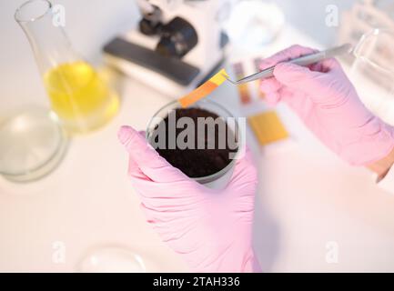 Laboratory analysis of soil. Scientist measures pH of soil sample with ...