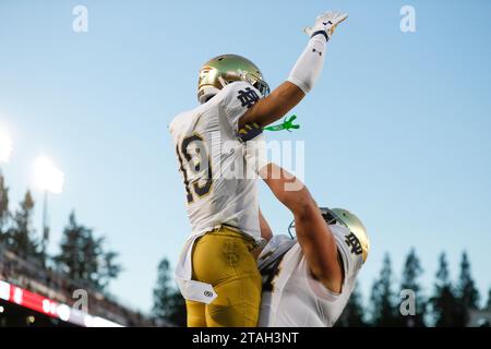 Notre Dame Fighting Irish wide receiver Marty Auer (19) celebrates a touchdown during a college football regular season game against the Stanford Card Stock Photo