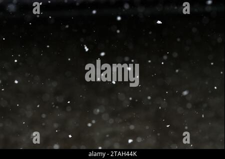 Bokeh of white snow on a black background. Snowfall - new design element. Stock Photo