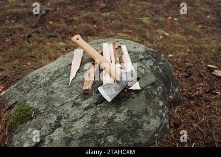 axe and chopped wood on a rock in the forest Stock Photo