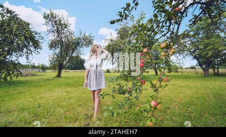 A girl in a white dress walking among an apple orchard. Stock Photo