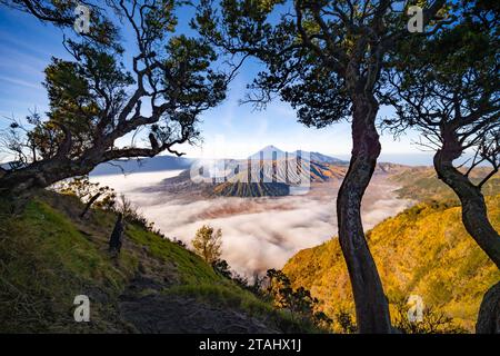 Amazing Mount Bromo volcano during sunny sky from king kong viewpoint on Mountain Penanjakan in Bromo Tengger Semeru National Park,East Java,Indonesia Stock Photo