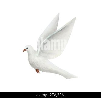 White flying dove of peace watercolor illustration. Hand drawn pigeon bird in realistic simple style Stock Photo
