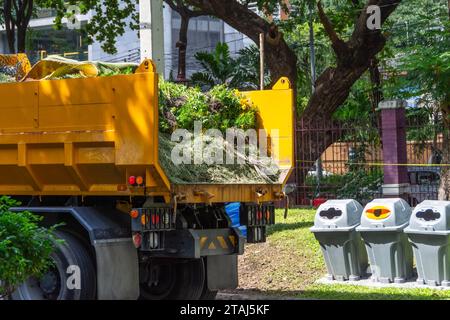 The truck is carrying in the back the remains of flower plants after cleaning in a city park, next to it there are bins for disposing of various types Stock Photo