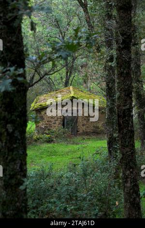 abandoned stone country house in the middle of the forest vertically in autumn Stock Photo