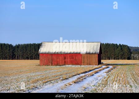 Red wooden barn in field on a sunny day of November with newly fallen snow on the ground. Stock Photo